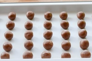 巧克力玛格丽特饼干的做法