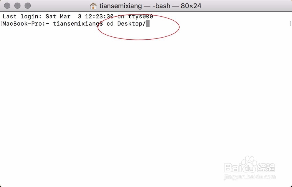 Mac上如何文本文档