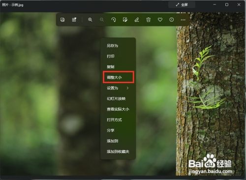 win11压缩图片大小教程