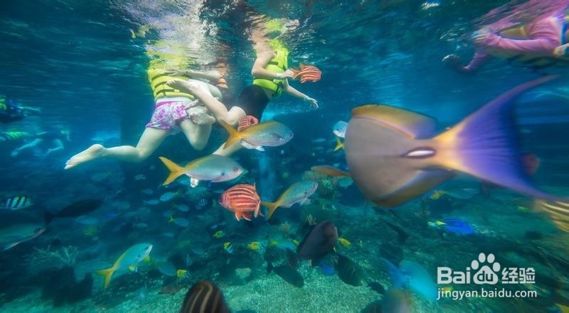 新加坡旅游简记22