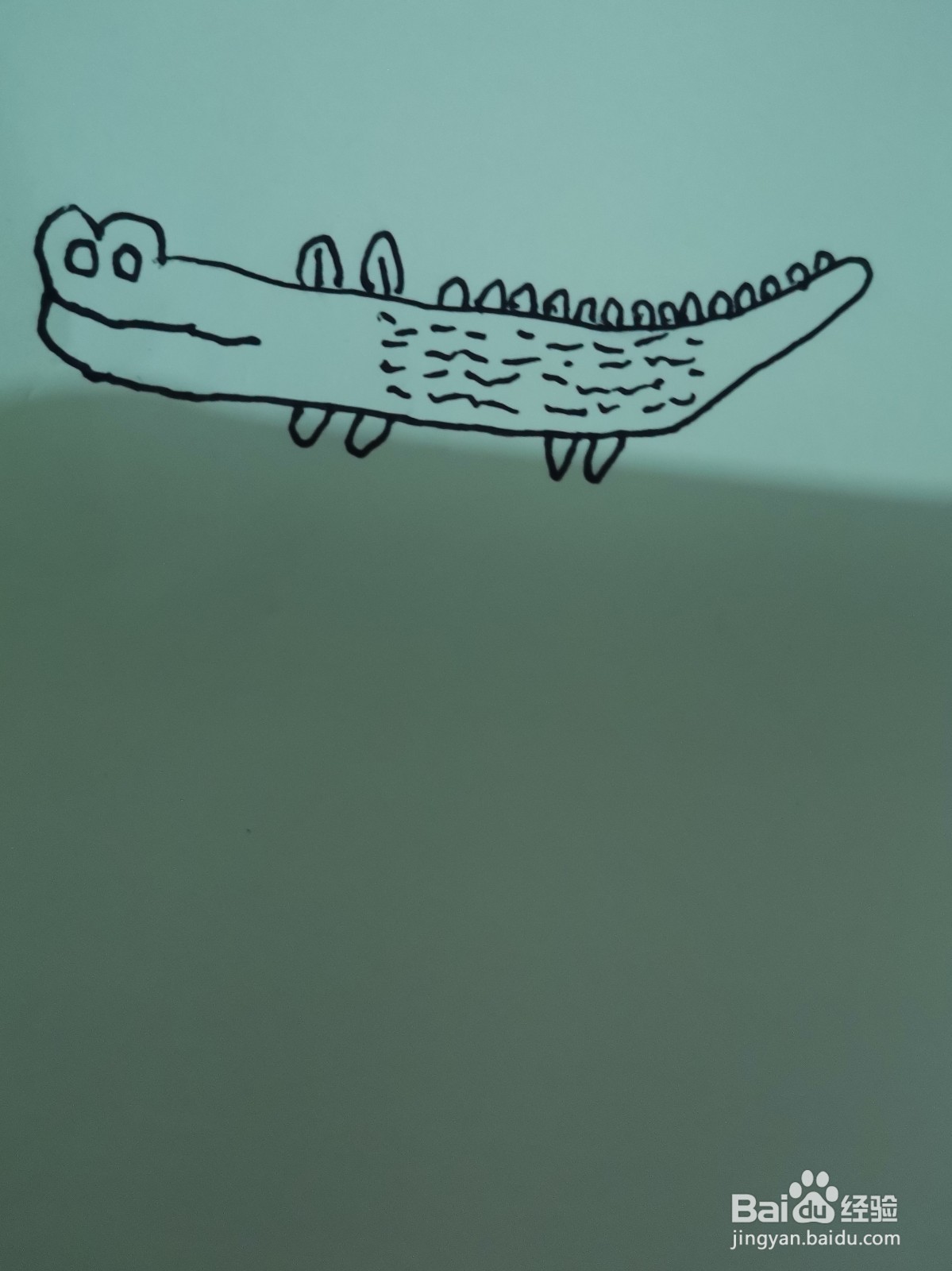 简笔画鳄鱼怎么画？