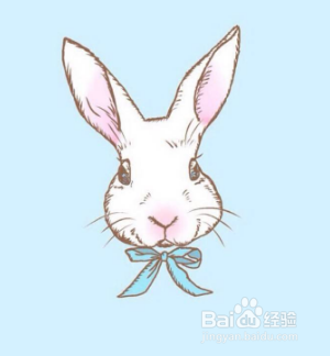 怎样提升写作能力？