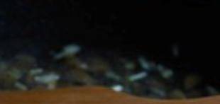 虾皮萝卜丝汤的制作