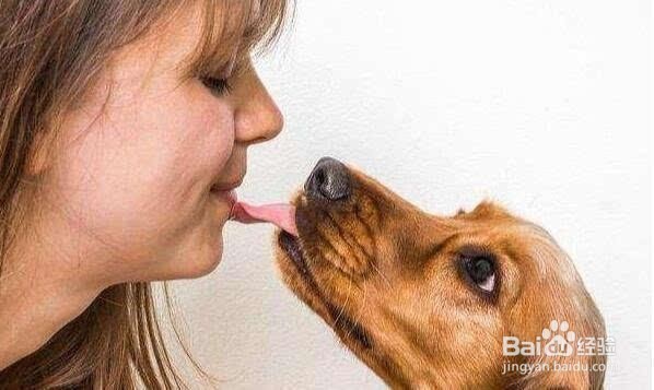 你知道怎么照顾年纪大的狗狗吗?