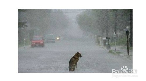 大雨怎么地下着