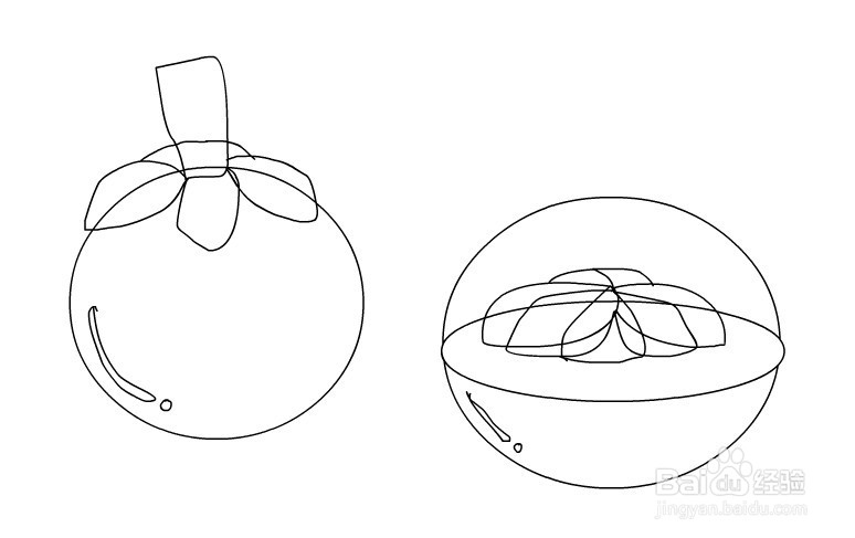 flash如何绘制山竹水果