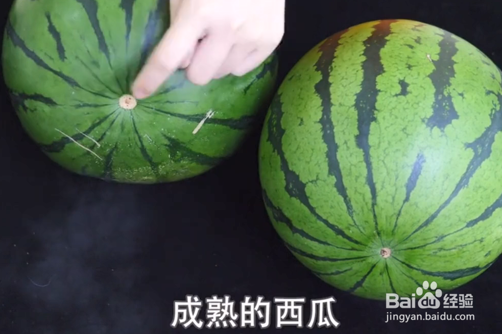 如何挑选西瓜？