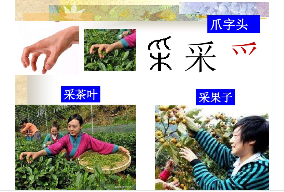 跟手有关的部首有哪些