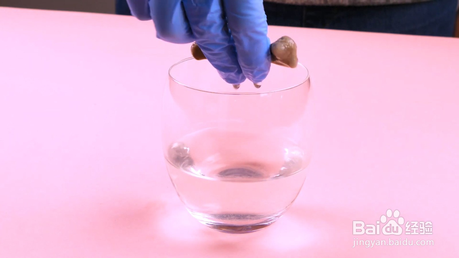 一个醋溶解骨质的实验,结果让你想象不到!