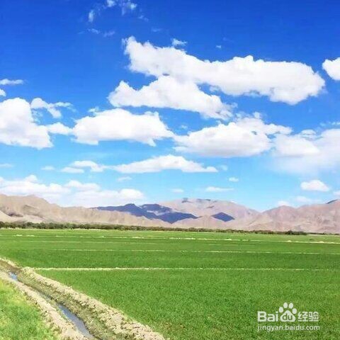 厨房油烟太大，抽油烟机抽不干净的问题如何解决