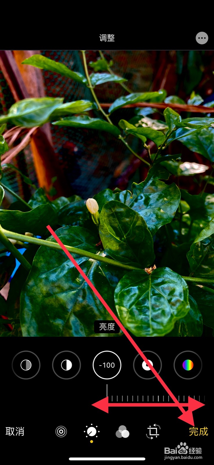 iPhone怎样调整照片亮度