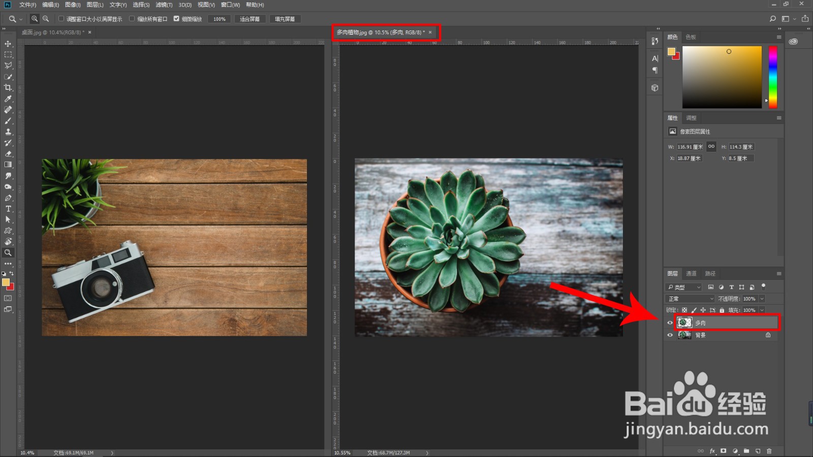 在Photoshop中如何将一个图层复制到另一画布？