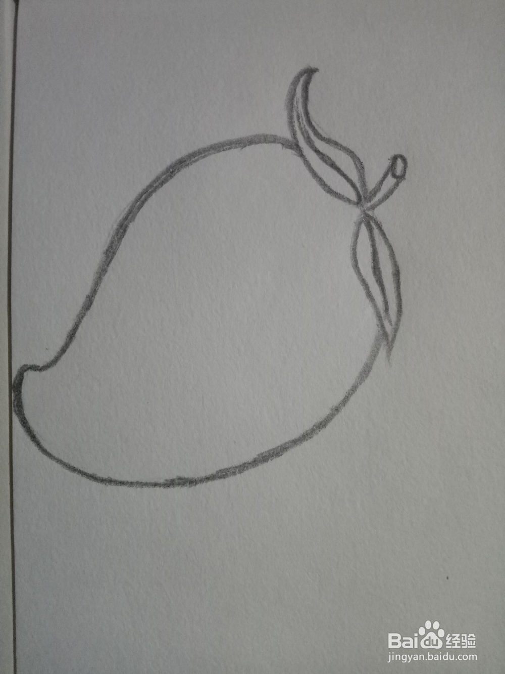 简笔画：一个大芒果