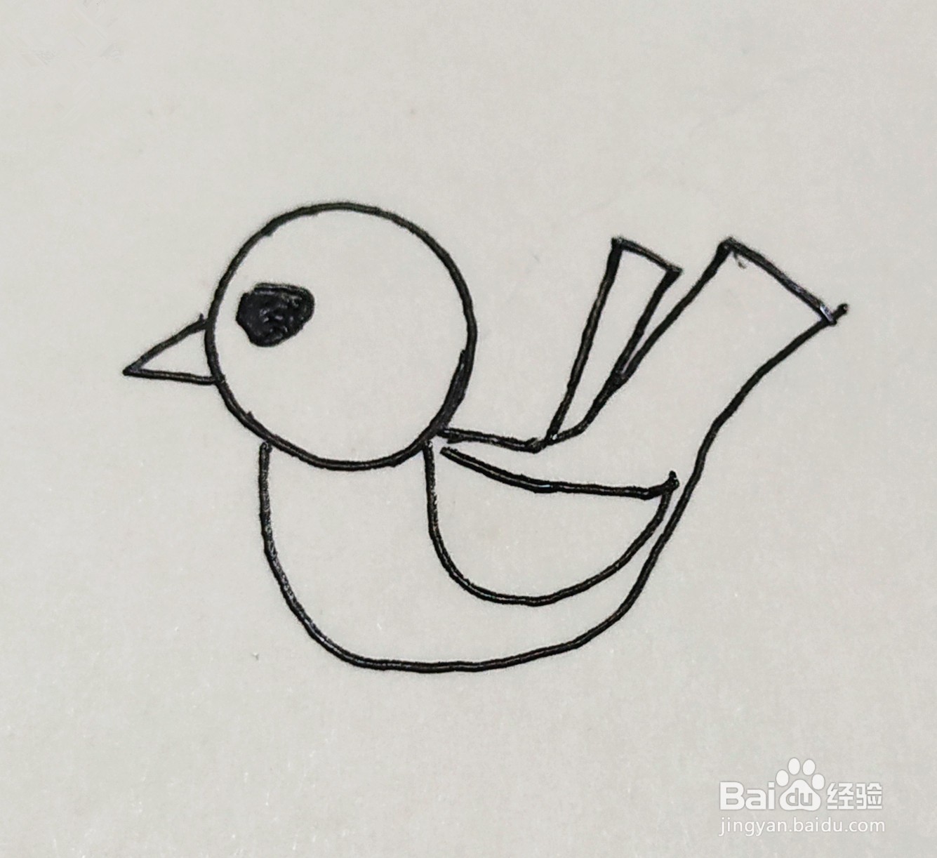 怎样画一只呆萌的小鸟
