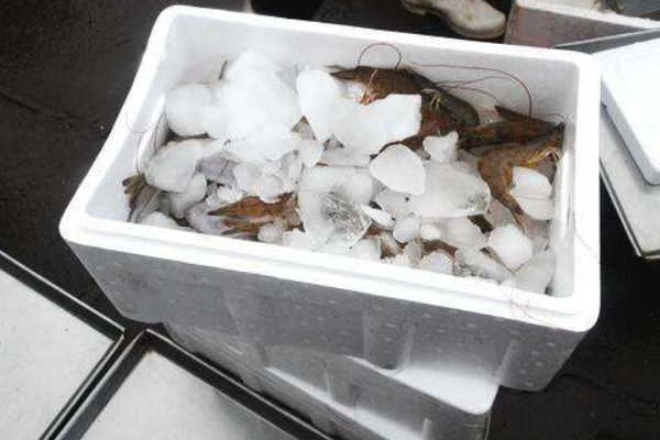 冰块放在保温箱里能维持多久不全部融化