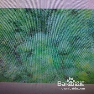 茴香馅大包子怎么调馅怎么包制