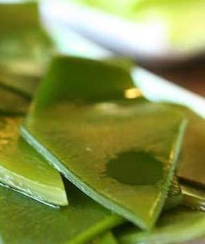 怎样在秋季更好的排毒去脂肪