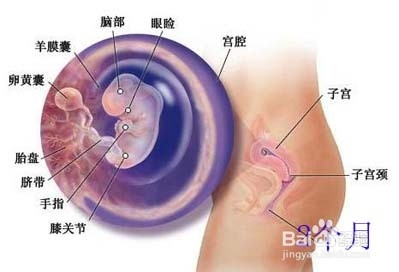 怀孕初期症状有哪些如何面对这些症状