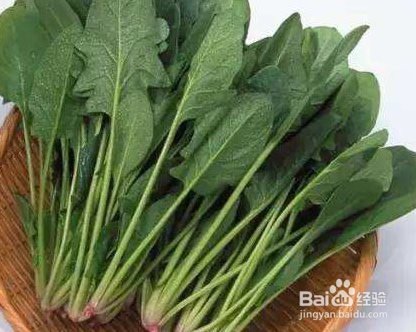 诱惑味蕾的清炒菠菜