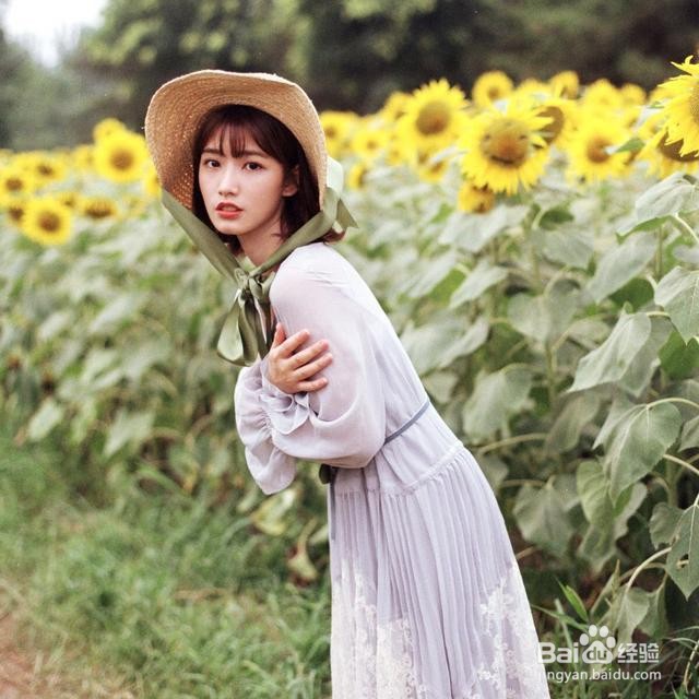 人与向日葵怎么拍照