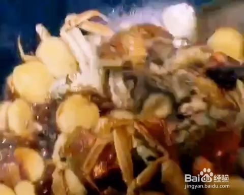 毛蟹大闸蟹炒年糕海鲜美食教程