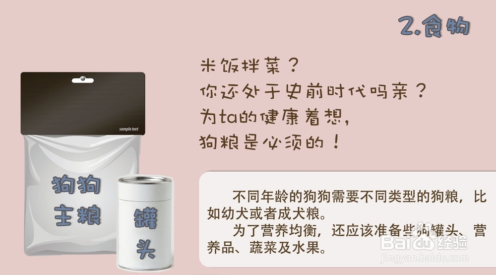 新狗狗进家前必须备齐的7种物品