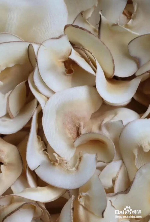 海底椰膏的做法