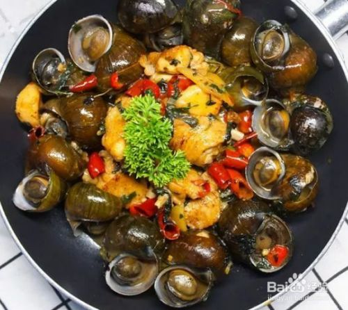 特别大的田螺怎么吃