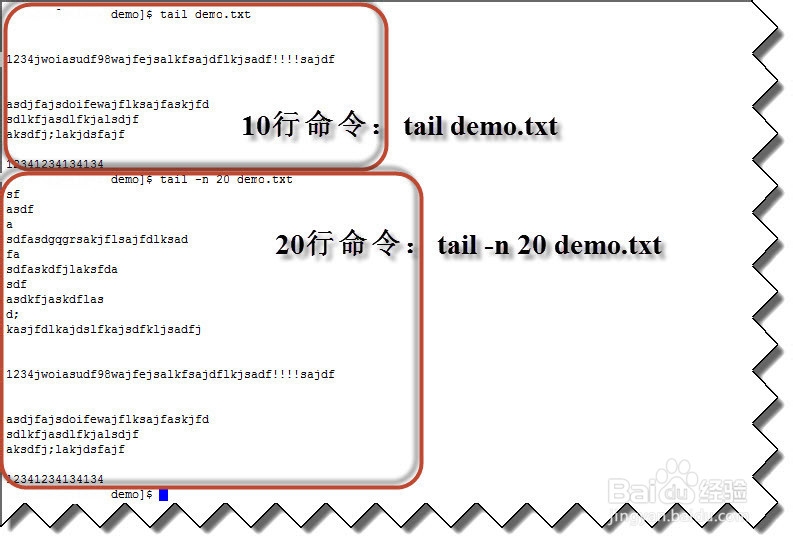 linux 如何在命令行动态显示文件内容