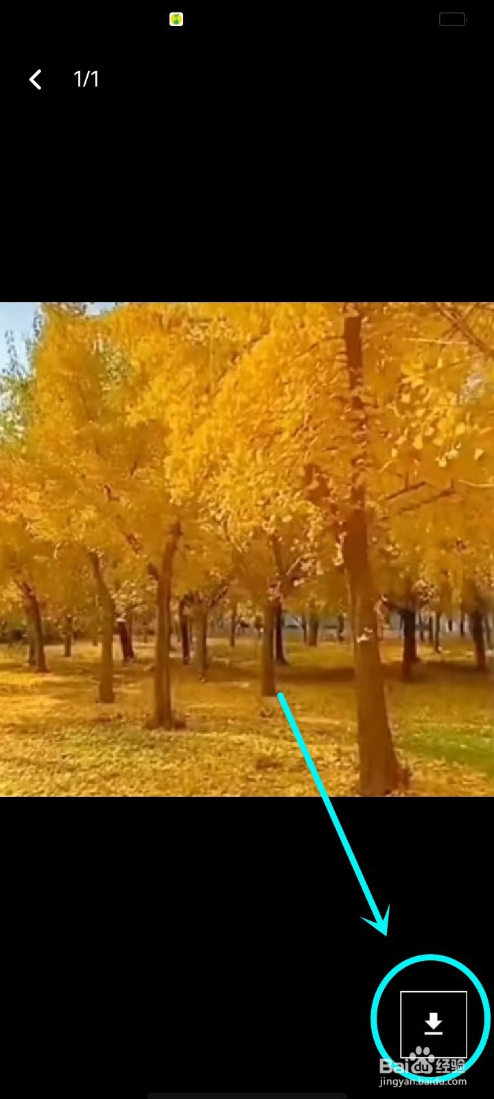 小陪伴语音app头像怎么保存到相册