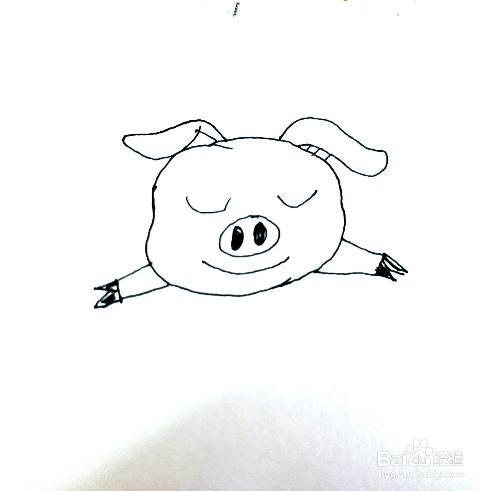 如何来画一只卡通睡觉的小懒猪简笔画呢
