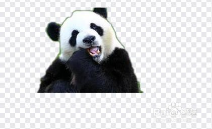 如何用word完成抠图