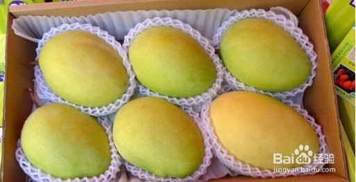 关于凯特芒果你所不知道的事