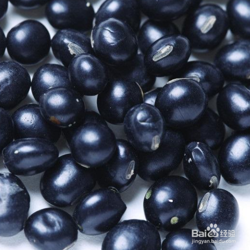 黑豆的养殖方法和注意事项