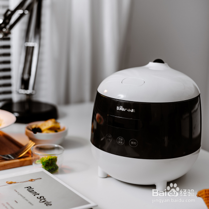 迷你小电饭煲选购指南
