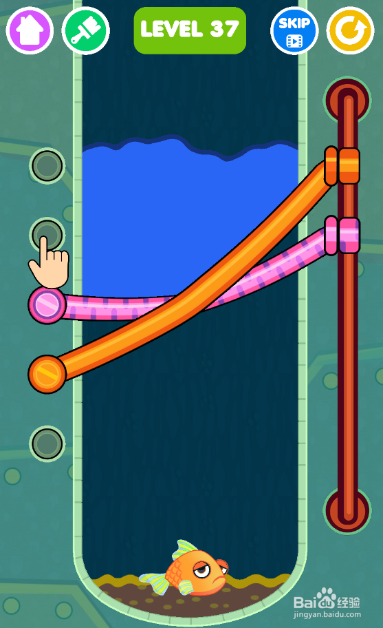 Save The Fish的LEVEL 37如何通关
