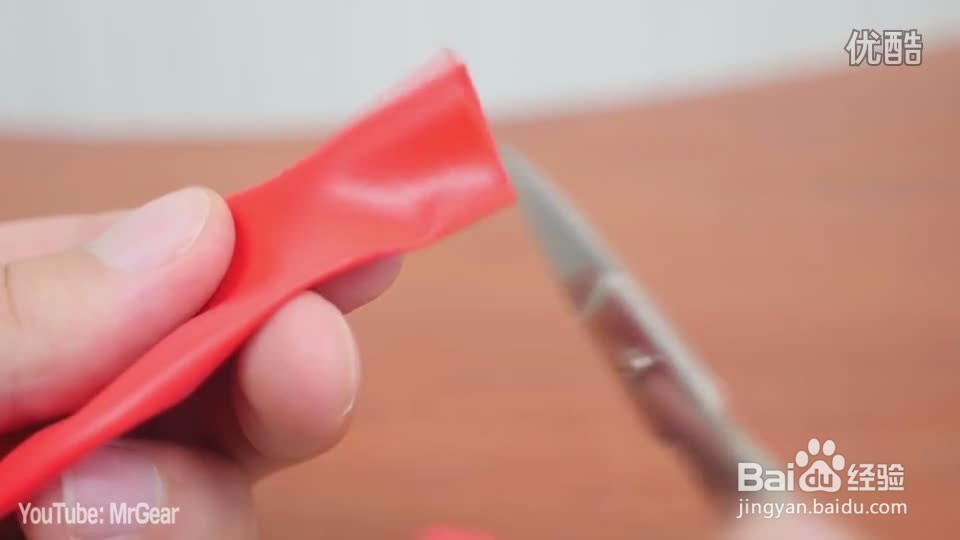 动物的发声器