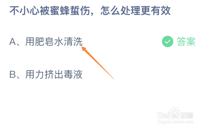不小心被蜜蜂蜇伤怎么处理更有效