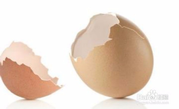 鸡蛋壳的妙用