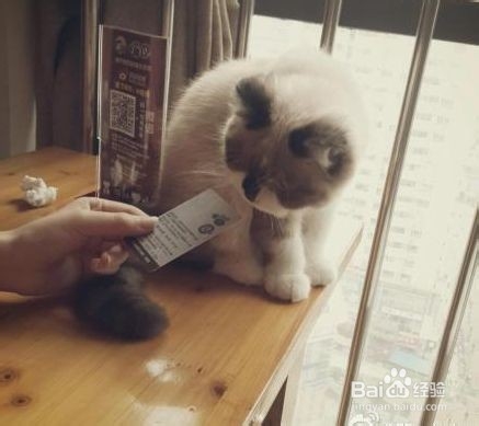 各个城市文艺清新的小店！