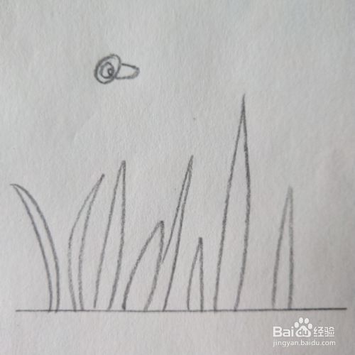 简单水草花教程 百度经验