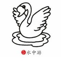 如何简笔画小天鹅