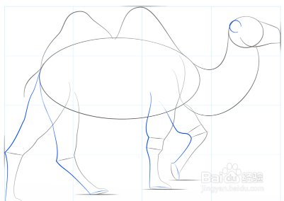 如何画一只骆驼
