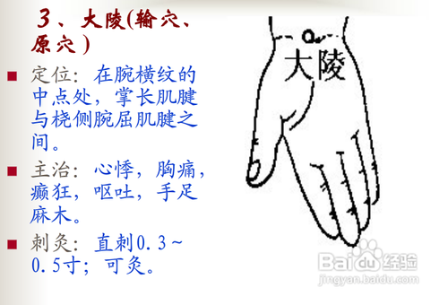 中医经络知识之手厥阴心包经图解