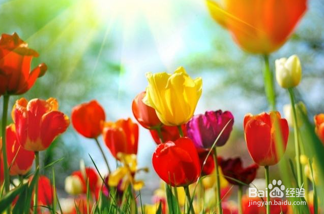 如何戒烟才轻松（戒烟要戒心瘾）