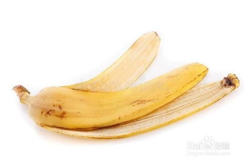 冬日如何消除屋内的小飞虫