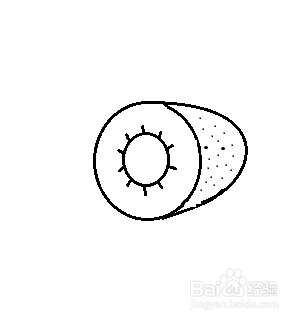 简笔画-猕猴桃的简笔画如何画