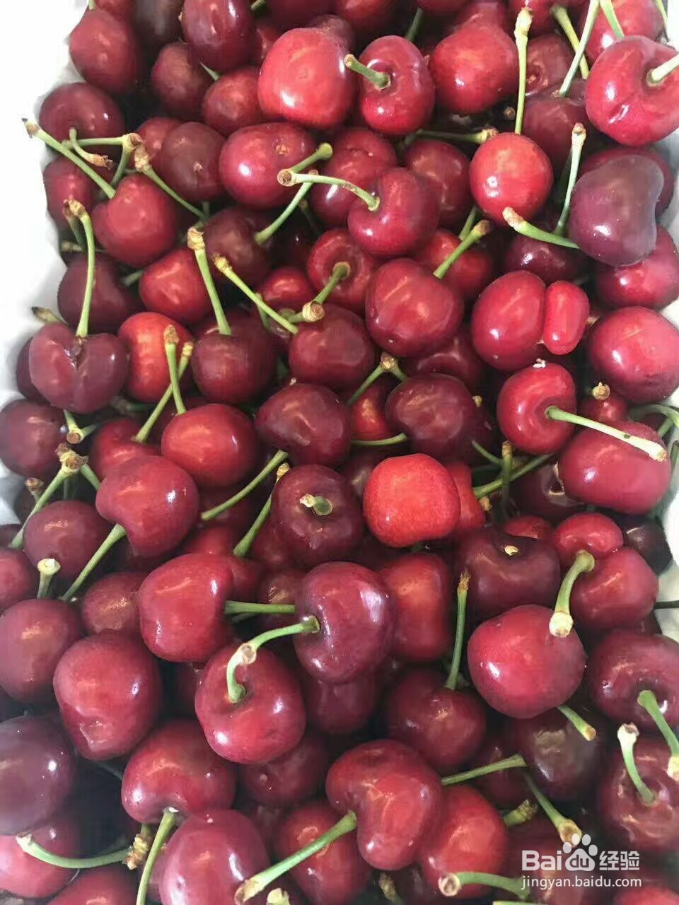 樱桃烘干机大樱桃热泵烘干机真的好用哦!