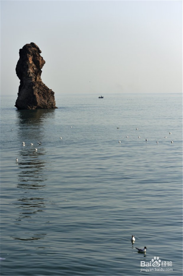 青岛最美地铁11号线+奥帆中心帆船体验一日游