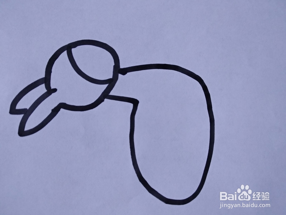 小毛驴简笔画怎么画